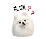 849957521