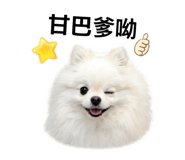 849957537
