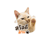 849967065