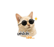 849967074
