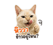 849967075