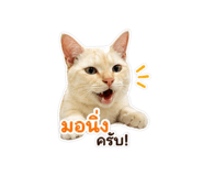 849967078