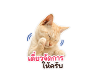 849967083