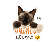 849973530