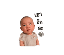 849977011