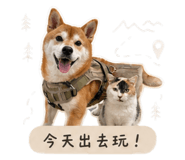 849979977