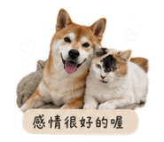 849979982