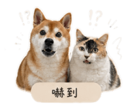 849979983