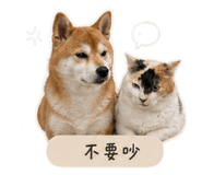 849979989