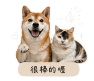 849979991