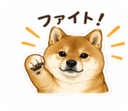 849982860