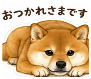 849982863
