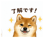 849982864