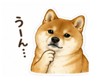 849982868