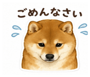 849982869