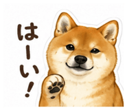 849982870