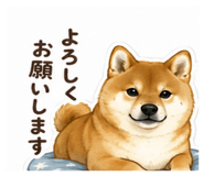 849982871