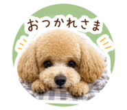 849985034