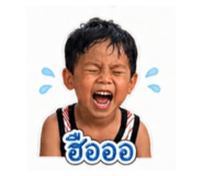 849992392