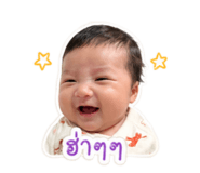 850026362