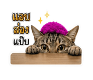 850056347