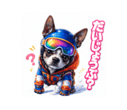 850057966