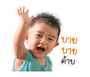850096176