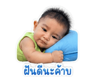 850096182