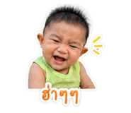 850096186