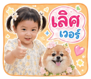 850098532