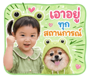 850098534