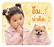 850098546