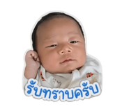 850099048
