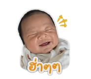 850099049