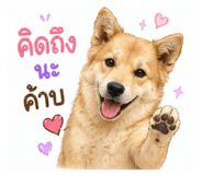 850099393