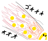 850109158