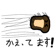 850109161