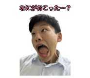 850110411