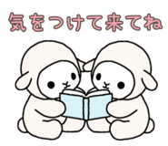 850112791