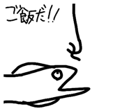 850112812