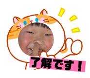 850113404
