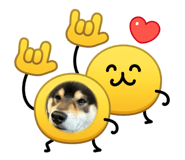 850113427