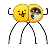 850113428