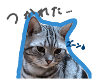 850114418