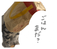 850114421
