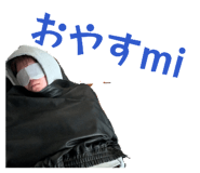 850114675