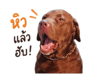 850140255