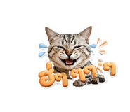 850141572