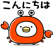 850141626
