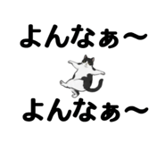 850141876